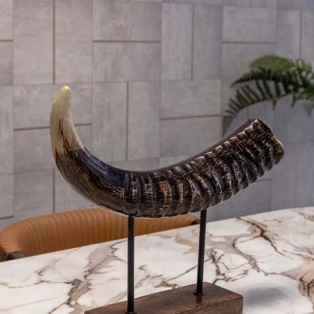 Furniture showcase from Allo Home.